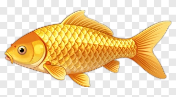Goldfish Illustration PNG
