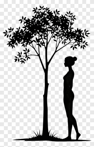 Silhouette Of A Woman Standing Beside A Tree PNG