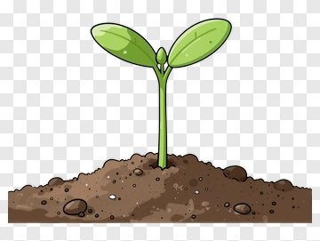 Cartoon Green Sprout Growing In Soil PNG