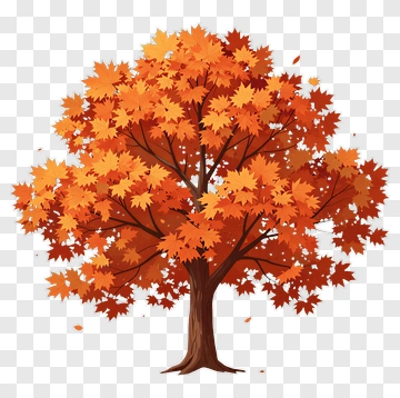 Colorful Tree With Autumn Leaves PNG