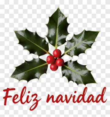 Holly Leaves With Red Berries And Feliz Navidad Text PNG