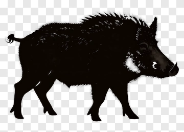 Silhouette Wild Boar PNG