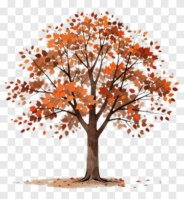 Colorful Tree With Autumn Leaves PNG