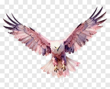 Watercolor Eagle In Flight PNG