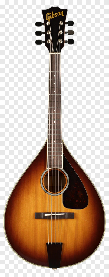 Gibson Mandolin PNG