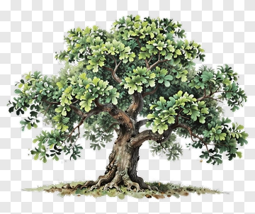 Colorful Tree PNG