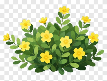 Colorful Flowering Bush PNG