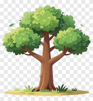 Colorful Tree PNG