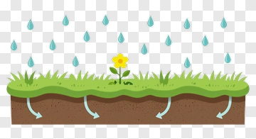Flower Growing In Soil With Rainfall PNG
