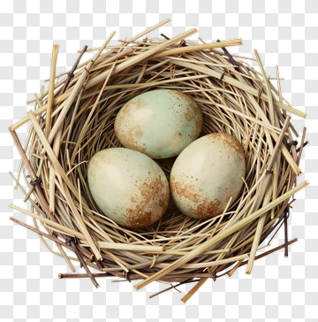 Nest With Three Brown-Spotted Eggs PNG