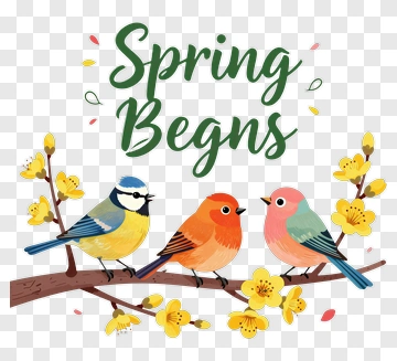 Spring Begins With Colorful Birds On A Branch PNG