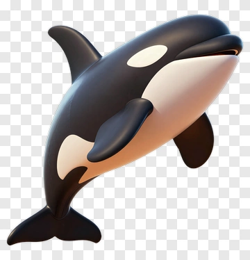 3D Cartoon Orca Whale PNG