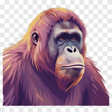 Cartoon Gorilla Portrait PNG