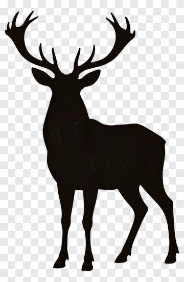 Silhouette Of A Deer PNG