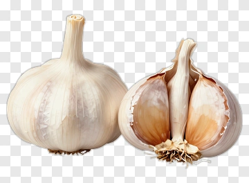 Garlic Bulb And Cloves PNG