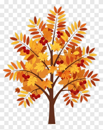 Colorful Autumn Tree PNG