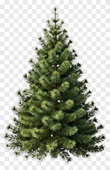 Green Pine Tree PNG