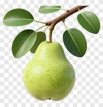 Green Pear With Leaves PNG