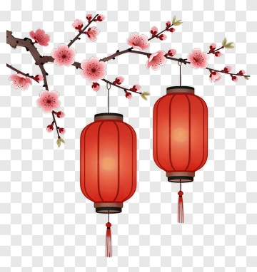 Red Lanterns Hanging From Cherry Blossom Branch PNG