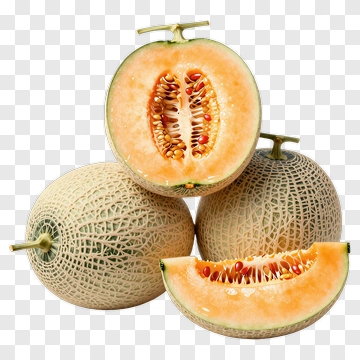 Fresh Cantaloupe Slices And Whole Melons PNG