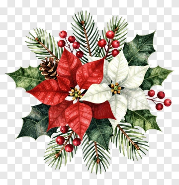 Christmas Poinsettia Arrangement PNG