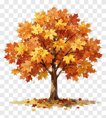 Colorful Autumn Tree PNG