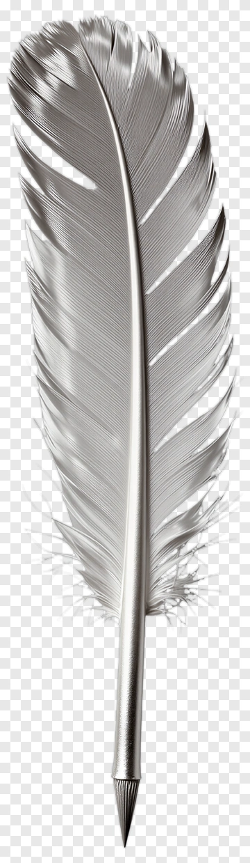 Silver Feather Pen PNG