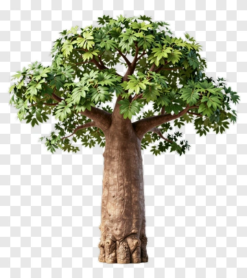 3D Tree With Green Leaves PNG