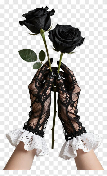Black Lace Gloves Holding Black Roses PNG