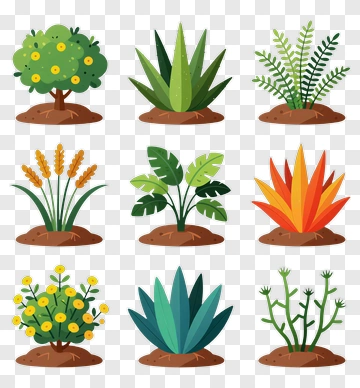 Colorful Plant Collection PNG