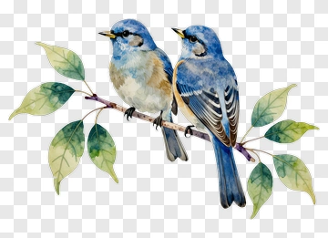 Watercolor Bluebirds Sitting On A Branch PNG