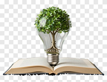 Tree Growing From A Light Bulb On An Open Book PNG