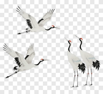Cranes In Flight And Standing Together PNG