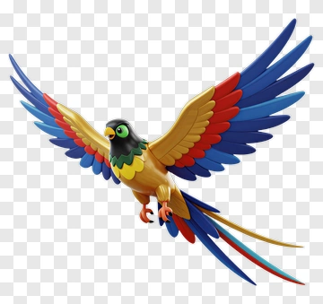 Colorful Parrot With Spreading Wings PNG