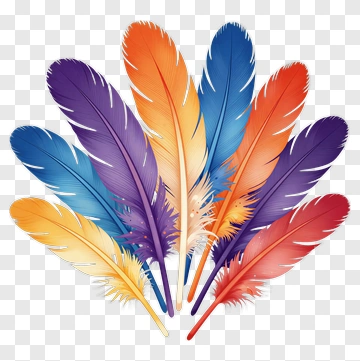 Colorful Feathers Arrangement PNG