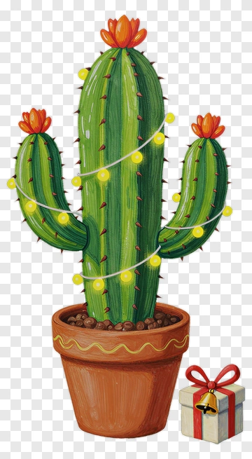 Cactus With Christmas Lights And Gift Box PNG