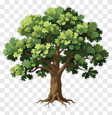 Colorful Tree PNG