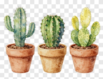 Watercolor Cactus In Pots PNG