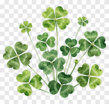 Watercolor Clover Leaves PNG