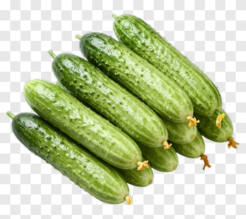 Fresh Cucumbers PNG