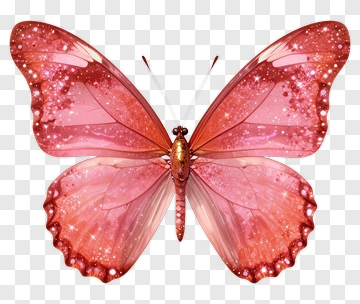 Colorful Butterfly With Sparkling Wings PNG