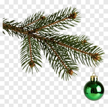 Christmas Tree Branch With Green Ornament PNG