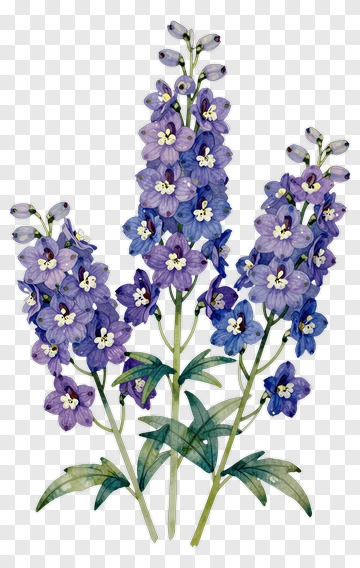 Watercolor Bluebell Flowers PNG