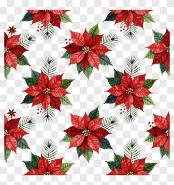 Poinsettia Floral Pattern PNG