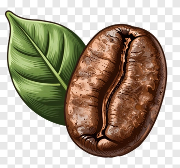 Coffee Bean With Leaf PNG