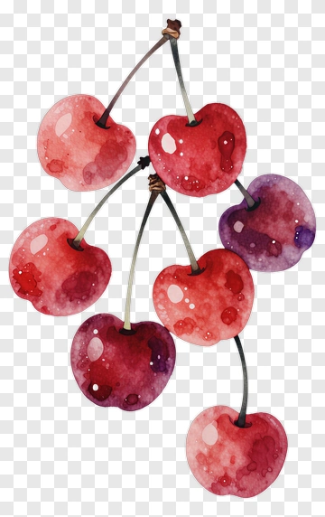 Watercolor Cherries PNG