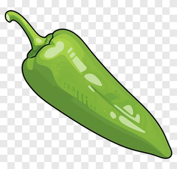 Green Jalapeño Pepper PNG