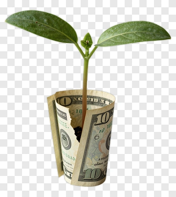 Plant Growing From A Dollar Bill PNG
