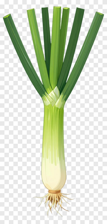 Fresh Green Onion PNG