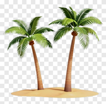 Colorful Palm Trees On Sandy Beach PNG